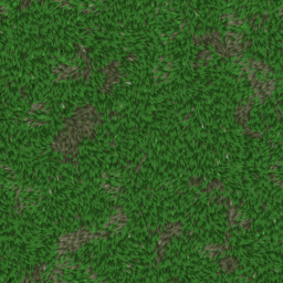 GRASS001