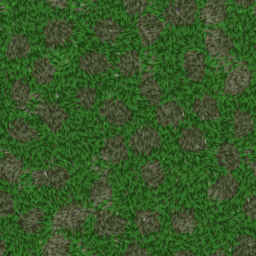 GRASS002