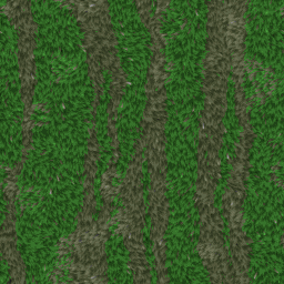 GRASS005