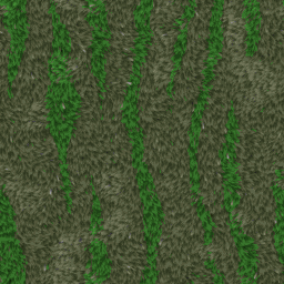 GRASS006
