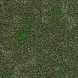 GRASS007