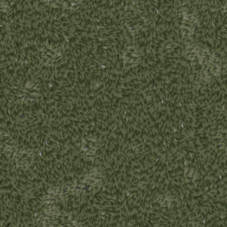 GRASS008